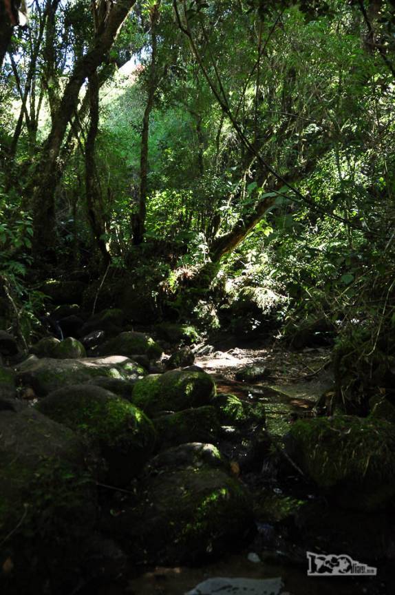 Atravessando o pequeno riacho no Vale da Luva, parte alta do Parque Nacional da Serra dos Órgãos, no Rio de Janeiro